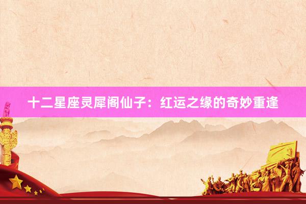 十二星座灵犀阁仙子：红运之缘的奇妙重逢