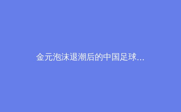 金元泡沫退潮后的中国足球：青训体系重构与职业联赛的生存哲学 - 4